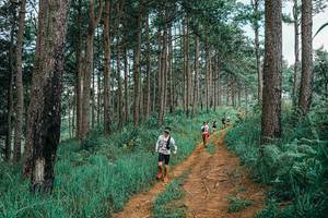 BIB: 
                            <button type="button" onclick="openModal(25741011)" class="btn btn-primary btn-sm float-right btn-popup" data-toggle="modal" data-target=".modal-high-quality">
                        <i class="fas fa-shopping-cart"></i> Add to Cart
                    </button>
                                            <button type="button" onclick="isThisMe(25741011, true)" class="btn btn-success btn-sm float-right btn-popup btn-isme hidden" data-toggle="tooltip" data-placement="bottom" title="นี่คือรูปของคุณใช่ไหม คลิกที่นี่เพื่อเอาเข้าอัลบั้ม">
                        <i class="fas fa-plus"></i> Add to album
                    </button>
                    <button type="button" onclick="isThisMe(25741011, false)" class="btn btn-warning btn-sm float-right btn-popup btn-isnotme hidden">
                        <i class="fas fa-ban"></i> Remove from album
                    </button>